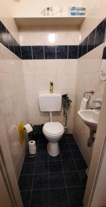 Einzigartiges Apartment Inkl. Gratis Parkplatz Bécs Kültér fotó